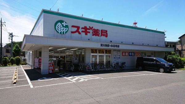 小平市栄町2丁目の土地(スギ薬局東大和店)
