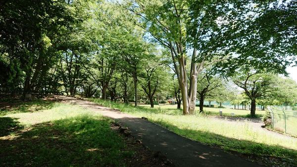 小平市栄町2丁目の土地(上仲原公園)