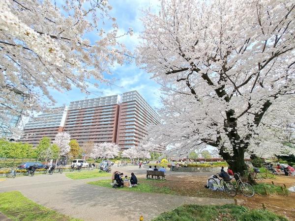 西東京市向台町３丁目の土地