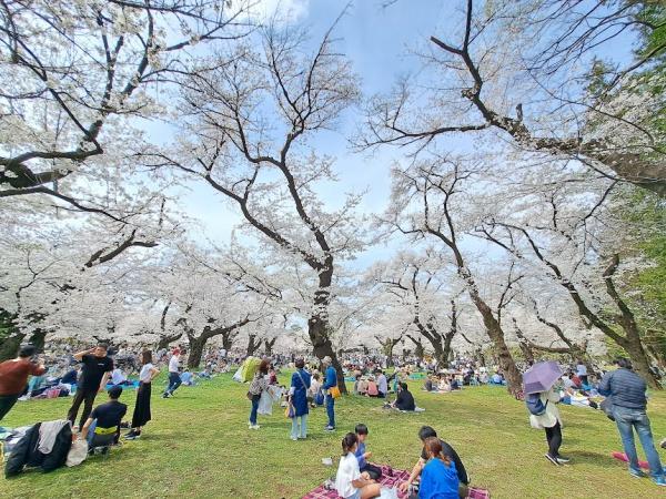 西東京市新町６丁目の中古一戸建て