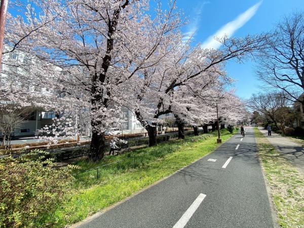 西東京市新町６丁目の中古一戸建て
