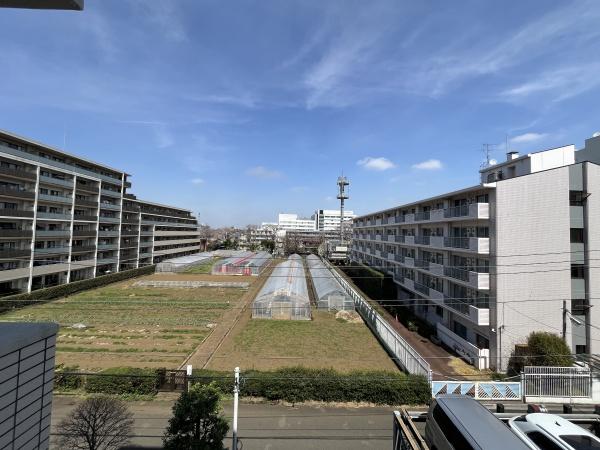 エクシオ花小金井