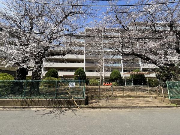 エクシオ花小金井