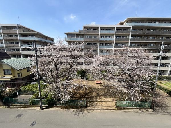 エクシオ花小金井