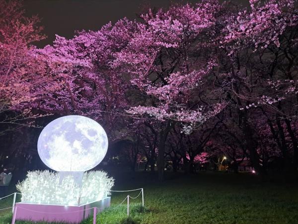 コニファーコート花小金井フローラルアヴェニュー(都立小金井公園)