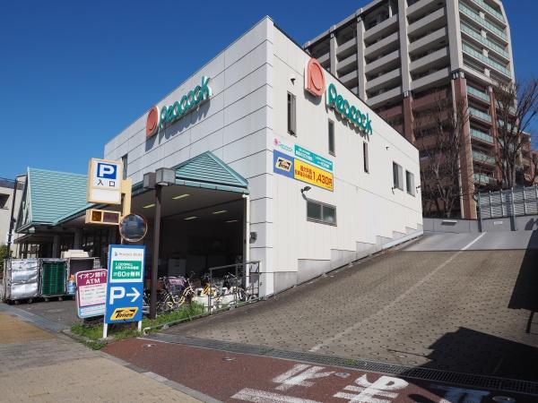 シティテラス小金井公園(ピーコックストア花小金井店)