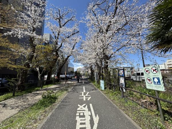 シティテラス小金井公園(多摩湖自転車歩行者道)