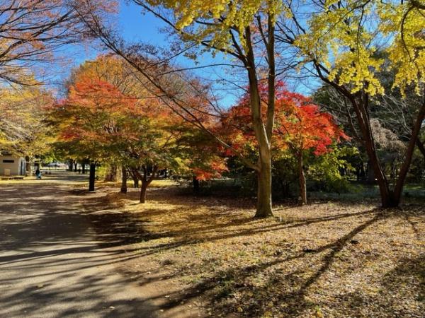 シティテラス小金井公園(都立小金井公園)