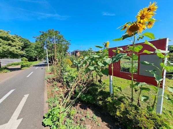 小平市花小金井南町３丁目の新築一戸建