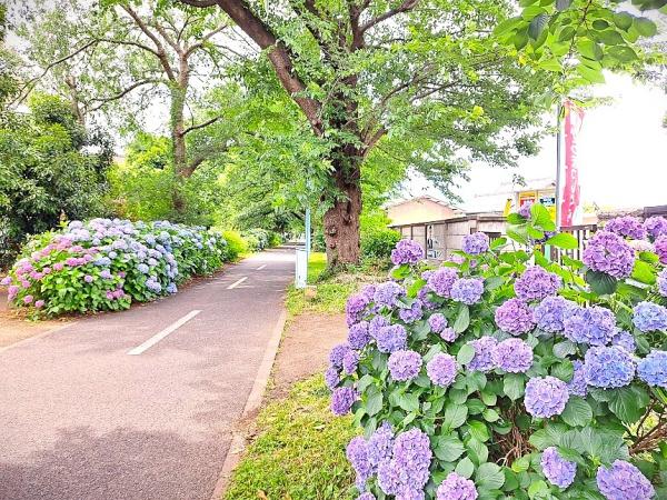 小平市花小金井南町３丁目の新築一戸建