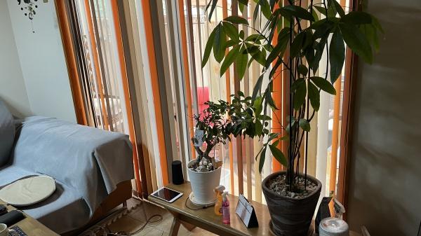 東村山市恩多町２丁目の中古一戸建て