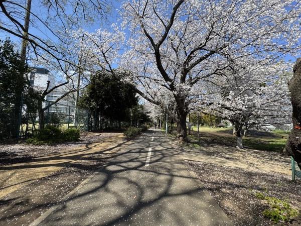 エクシオ花小金井(多摩湖自転車歩行者道)