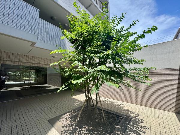 エクシオ花小金井