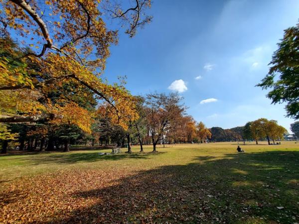 サンクレイドル花小金井(都立小金公園)