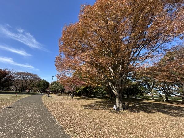 西東京市芝久保町３丁目の中古一戸建て