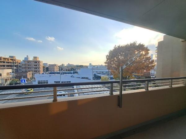 アデニウム吉祥寺