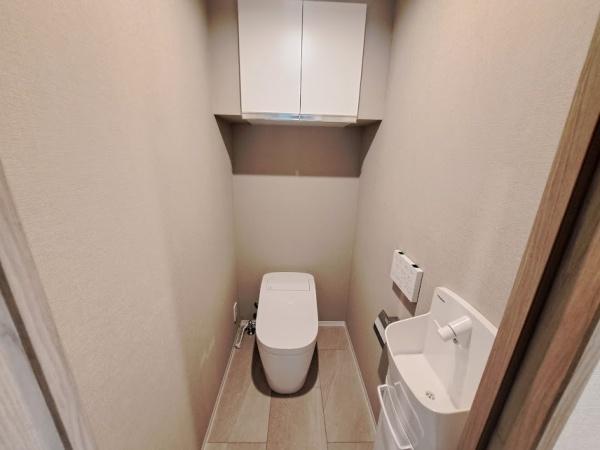 アデニウム吉祥寺