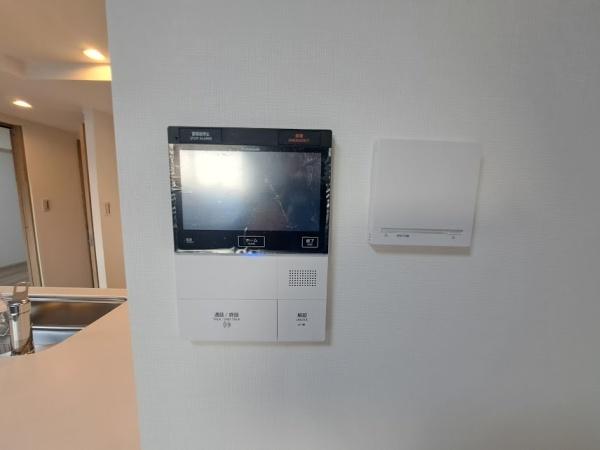 アデニウム吉祥寺