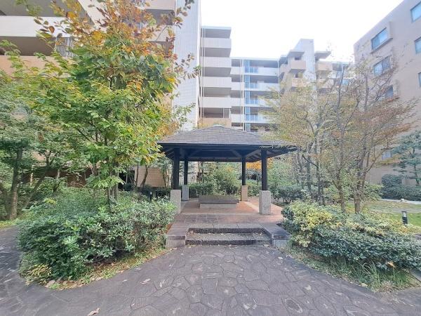 アデニウム吉祥寺