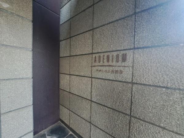 アデニウム吉祥寺