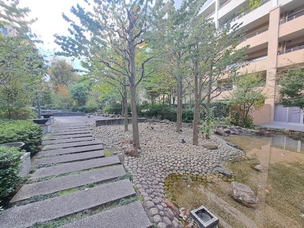 アデニウム吉祥寺