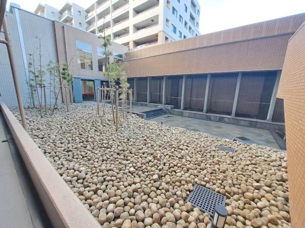 アデニウム吉祥寺