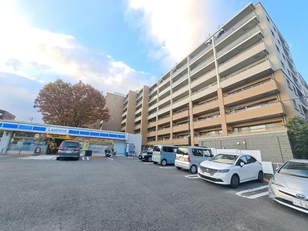 アデニウム吉祥寺