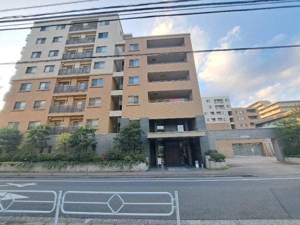 アデニウム吉祥寺