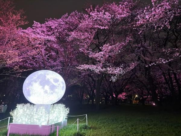 小平市花小金井南町３丁目の新築一戸建(都立小金井公園)