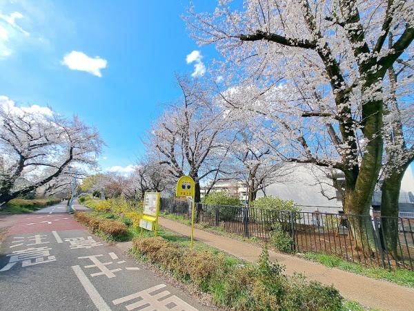 西東京市向台町６丁目の新築一戸建