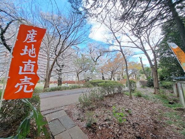 西東京市向台町６丁目の新築一戸建