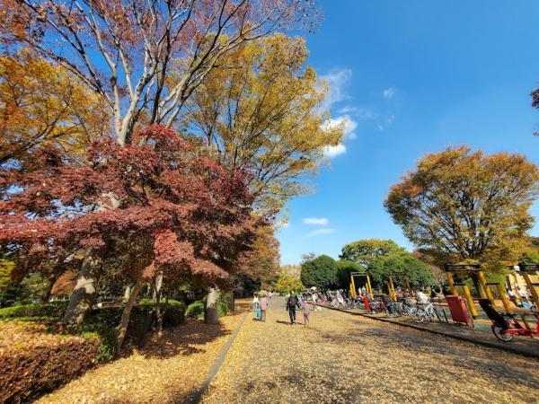 西東京市向台町４丁目の中古一戸建て