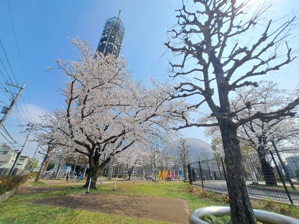 西東京市向台町４丁目の中古一戸建て