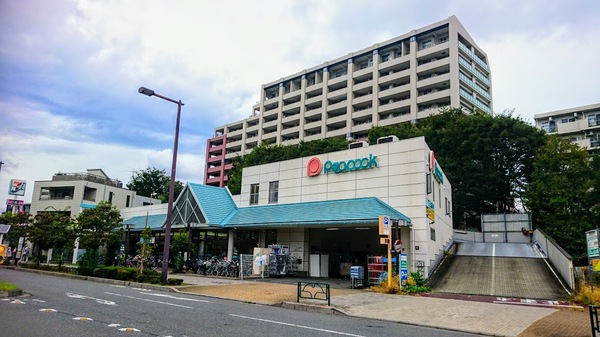 小平市花小金井８丁目の新築一戸建(ピーコックストア花小金井店)
