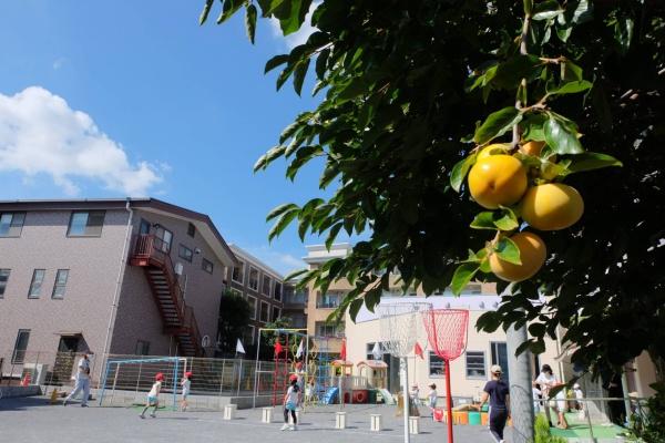 リビオ東伏見公園(サフラン幼稚園)