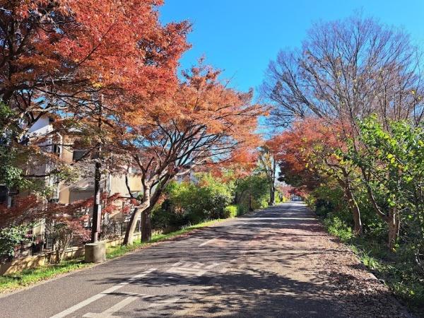 西東京市向台町２丁目の中古一戸建て
