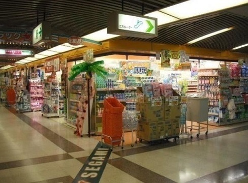 プロパレス阿倍野ヴィアッツァ(ドラッグセガミあべのベルタ店)