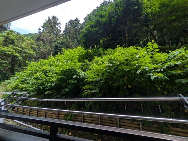 レクセル湘南平塚