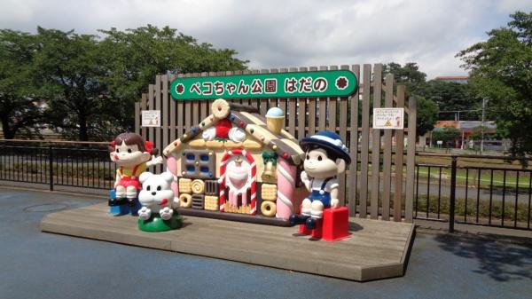 秦野市ひばりケ丘の中古一戸建て(秦野中央こども公園)