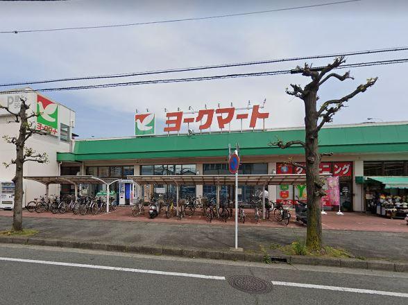小田原市酒匂1丁目の新築一戸建(ヨークマート鴨宮店)