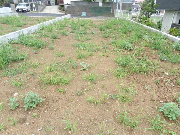 秦野市鶴巻南４丁目の土地
