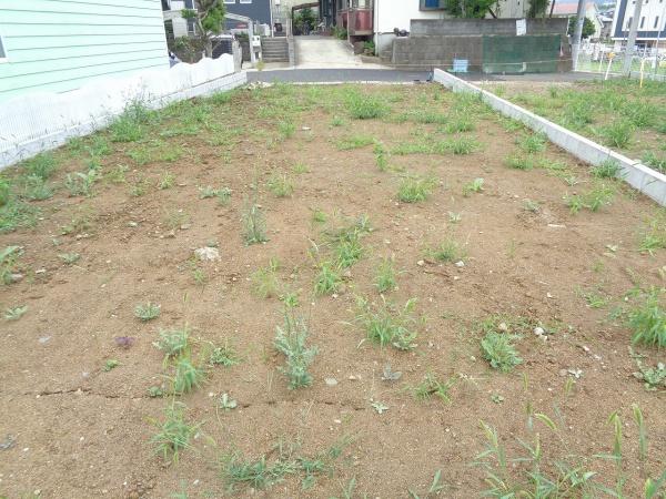 秦野市鶴巻南４丁目の売土地