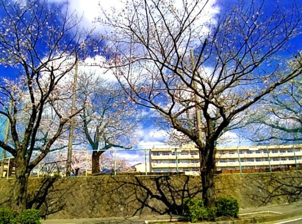 秦野市尾尻の土地(秦野市立南が丘小学校)