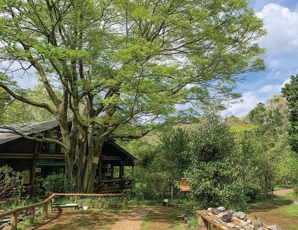秦野市東田原の中古一戸建て(自然観察施設くずはの家)