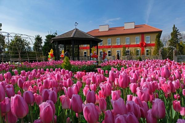 平塚市公所の新築一戸建(神奈川県立花と緑のふれあいセンター)