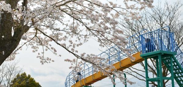 秦野市名古木の土地(こうぼうふじみ公園)