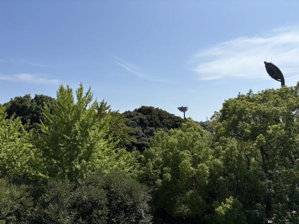 扶桑ハイツ平塚総合公園