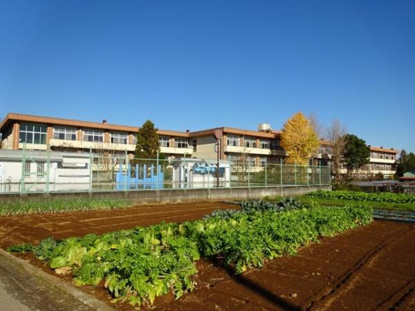 小田原市小竹の土地(小田原市立下中小学校)