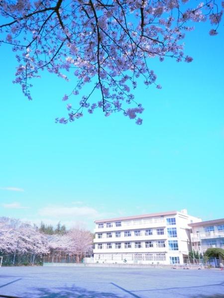 小田原市小竹の土地(小田原市立橘中学校)