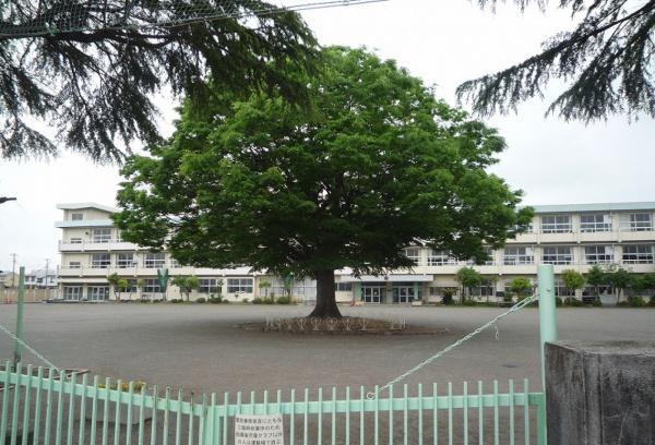 小田原市成田の土地(小田原市立千代中学校)